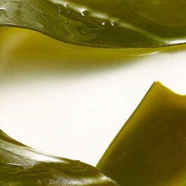 Plantscription - Crema pentru fermitate
