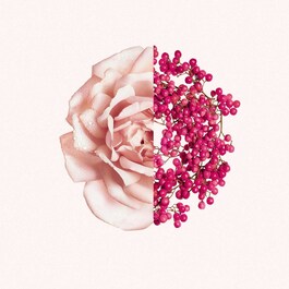 Irresistible -  Eau de Toilette Fraiche