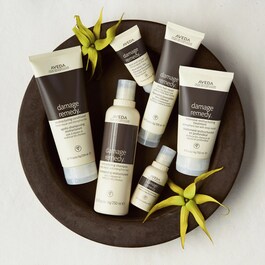 Damage Remedy Restructuring Conditioner