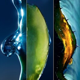 Sauvage The Serum - Ser facial cu extract de cactus