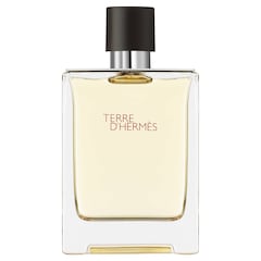 Terre d'Hermès - Eau de Toilette, Hermes