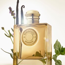 Burberry Goddess Intense - Eau de Parfum