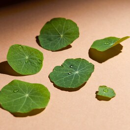 CC Eye à la Centella Asiatica - Crema CC cu efect de luminozitate pentru ochi