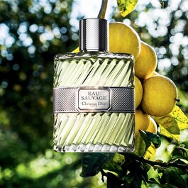 Eau Sauvage - Eau de Toilette For Men - Note proaspete & insorite