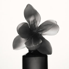 Fenty - Eau de Parfum