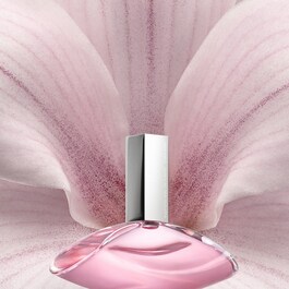 Euphoria - Eau de Toilette