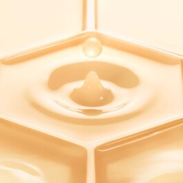 Abeille Royale Fortifying Lotion With Royal Jelly - Lotiune Tonica