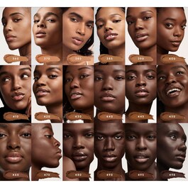 Pro Filt'r Soft Matte Powder Foundation - Fond de ten pudra mat