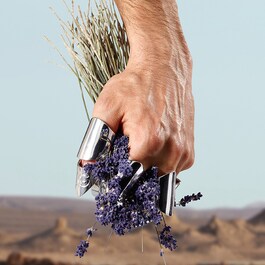  K - Eau de Toilette