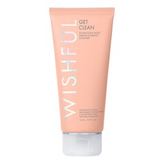 Get Clean - Demachiant spuma, WISHFUL