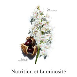 Nutri-Lumiere Night Cream - Crema hidratanta anti imbatranire