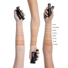 Matte Perfection Stick - Fond de ten si corector