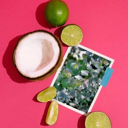Pacific Lime - Eau de Parfum