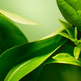 A Perfect World - Crema antioxidanta si hidratanta