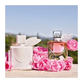 The product image is missing!