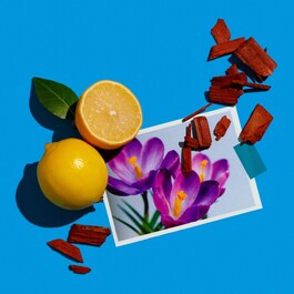Santal Carmin - Eau de Parfum