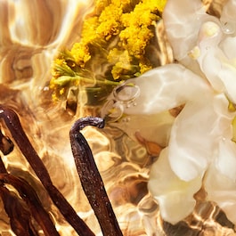 Aqua Allegoria Forte Bosca Vanilla - Eau de Parfum