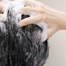 scalp solutions balancing shampoo - Sampon