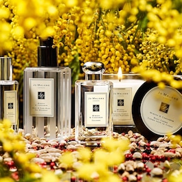 Mimosa & Cardamom Cologne