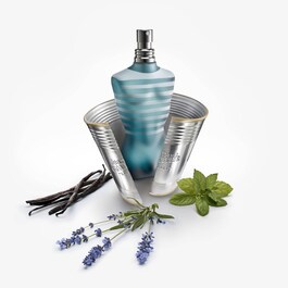 Le Male - Deodorant stick