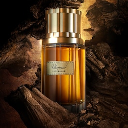 Malaki Cedar - Eau de Parfum