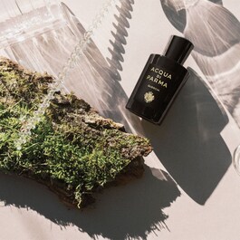 Signatures of the Sun Quercia - Apa de Parfum Woody Aromatic