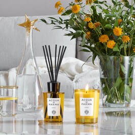 Insieme - Diffuser
