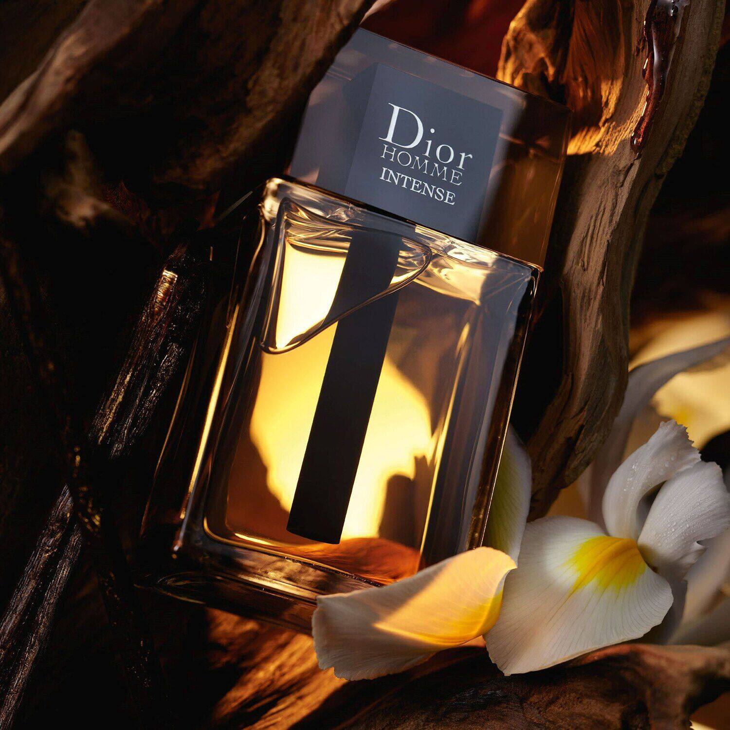 Prix dior homme discount