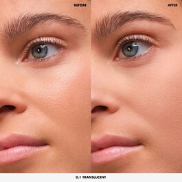 HD Skin Perfecting Loose Powder – Pudra libera ultra-estompanta, imperceptibilia