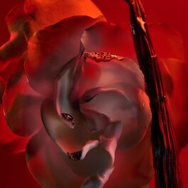 Allegra Baciami - Eau de Parfum