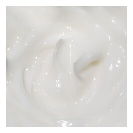 The True Cream Moisturizing Bomb - Crema hidratanta