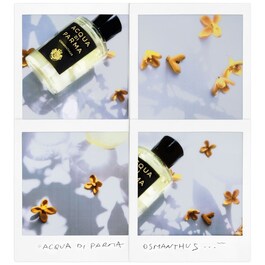 Signatures of the Sun Osmanthus - Apă de Parfum Fructată Florală