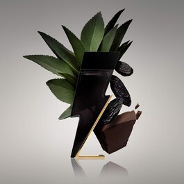 Bad Boy - eau de toilette refill 
