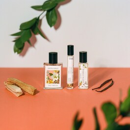 Santal Vanille - Roller