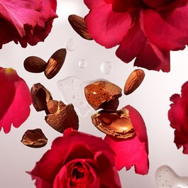 The Ritual of Ayurveda - Spuma de dus