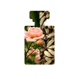 Hosanna H2O Intensive Skin-Plumping Serum - Serum hidratant pentru fata