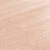 Y315 Sable  (30 ml)
