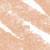 Light 3 (1.41 g)