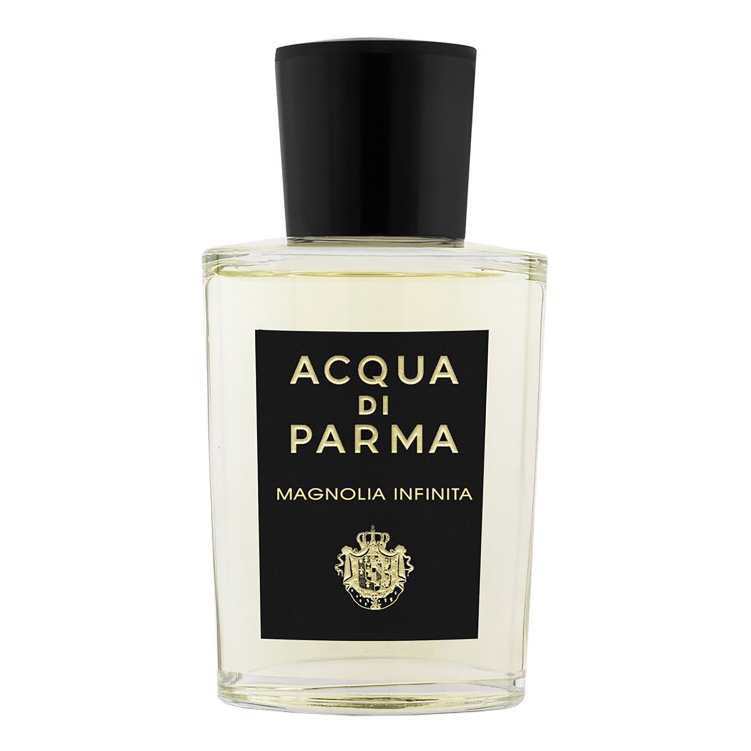 Parma Magnolia Infinita
