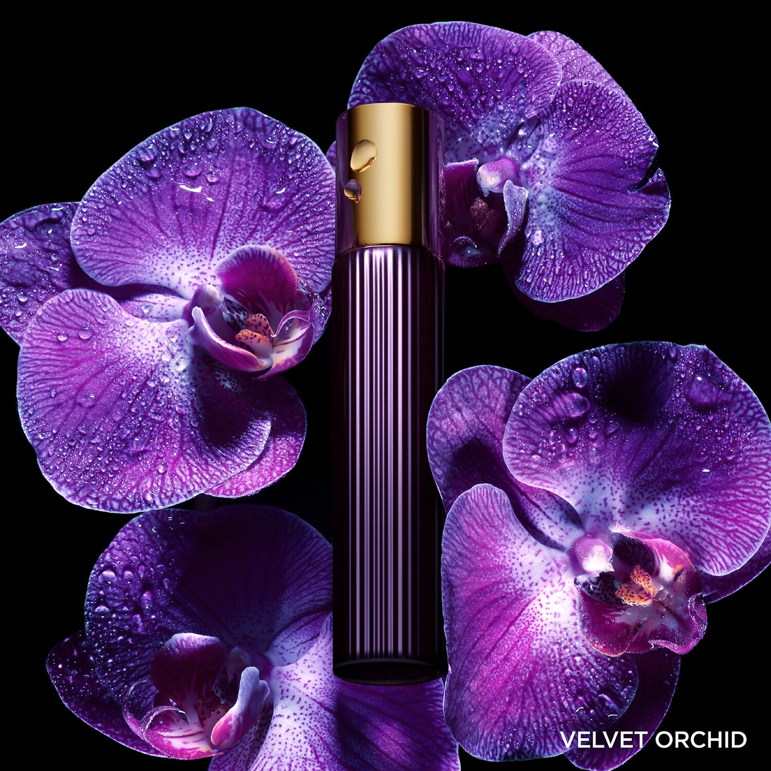 Velvet Orchid Eau de Parfum Tom Ford ≡ SEPHORA